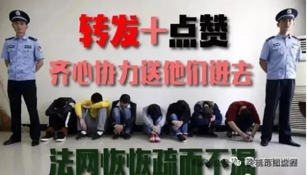 ARK模块化骗局：链上文明外衣下的资金盘屠宰场！